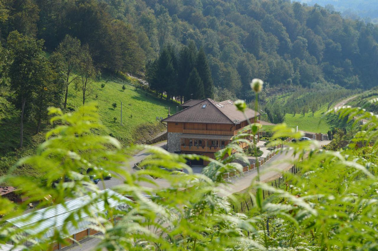 B&B Zlatna Nit 보산스카 크루파 외부 사진