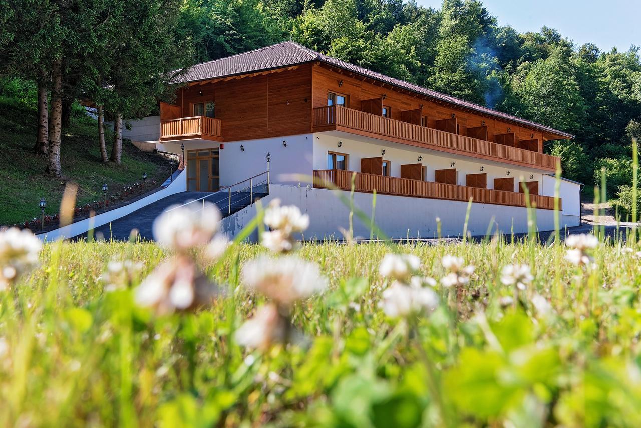 B&B Zlatna Nit 보산스카 크루파 외부 사진